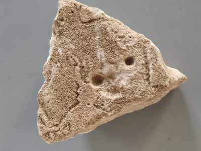 Tutto � partito da un frammento di cinque centimetri conservato presso il museo di Trinitapoli. Il pezzo era parte di una stele risalente al VII secolo a.C. e proveniente dall'antica citt� di Salapia: un monumento funerario che era dato ormai per scomparso